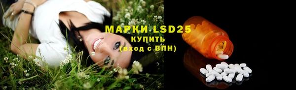 бошки Лабытнанги