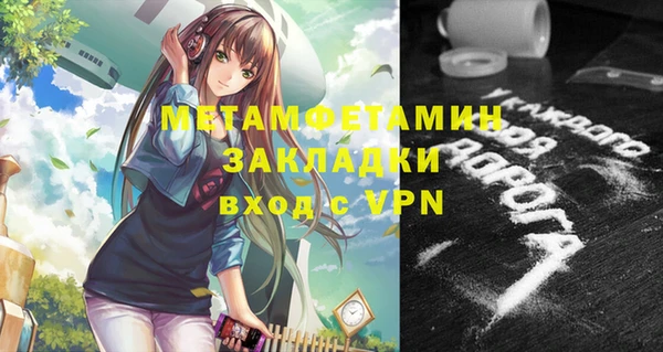прущие грибы Ладушкин