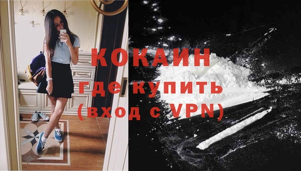 прущие грибы Ладушкин