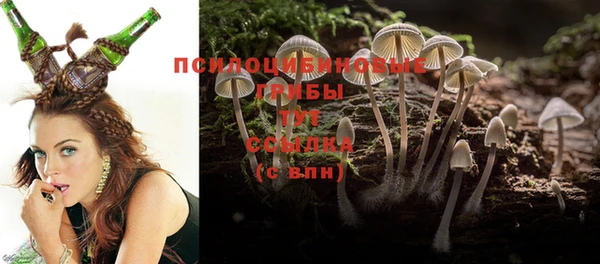 бошки Лабытнанги