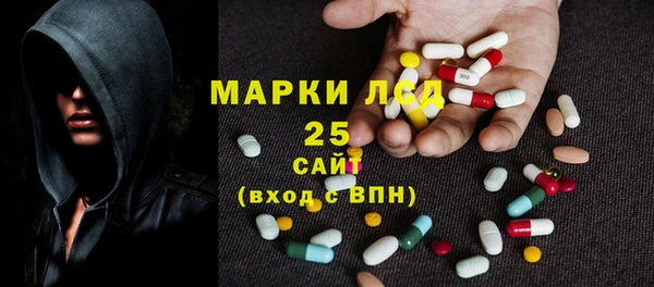 прущие грибы Ладушкин
