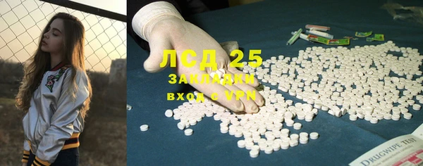 прущие грибы Ладушкин