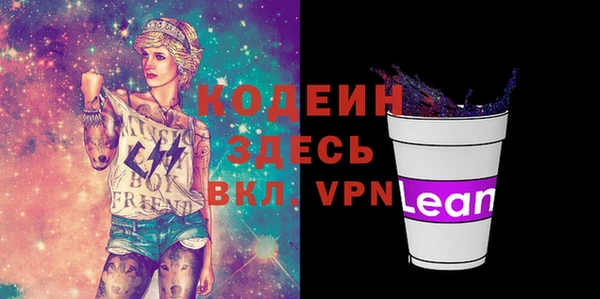 прущие грибы Ладушкин