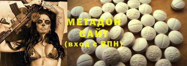 прущие грибы Ладушкин