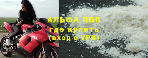 прущие грибы Ладушкин