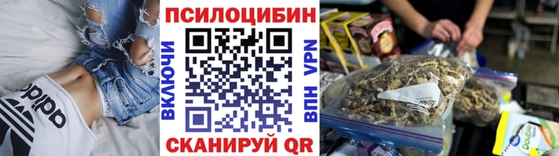 цена наркотик  Холм  omg маркетплейс  Галлюциногенные грибы Magic Shrooms 